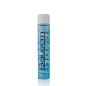Laca Salerm fuerte - Salerm (650 ml) Laca Salerm fuerte - Salerm (650 ml)