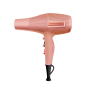 Secador TWISTER SKY Golden Rose - Asuer
