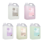 Champú Neutro (Almendra, Manzana, Fresa, Banana, Coco) - Anea (5000 ml)
