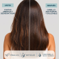 Champú Reparador para cabello dañado - 0% Sin Sulfatos - Valquer (400 ml)